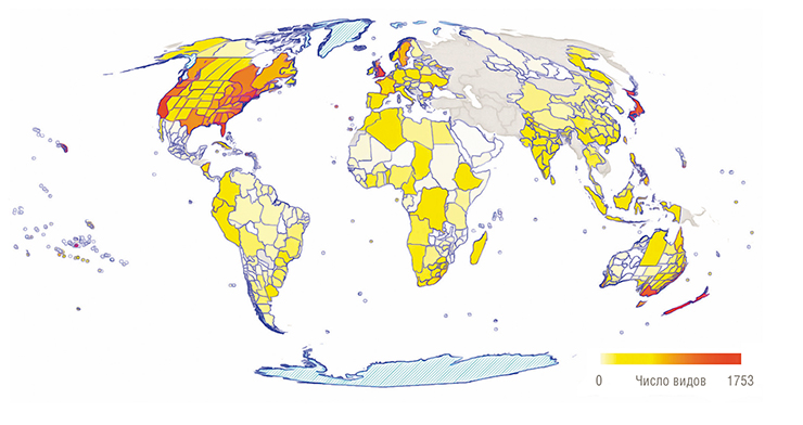 На карте показано распределение инвазионных натурализованных видов высших сосудистых растений в 843 регионах (включая 362 островных), охваченных базой данных ГлоНАФ (GloNAF, Global Naturalized Alien Flora). Серым цветом отмечены регионы, данные для которых отсутствуют. По: (van Kleunen et al., 2015)